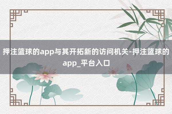 押注篮球的app与其开拓新的访问机关-押注篮球的app_平台入口