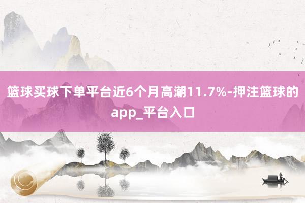 篮球买球下单平台近6个月高潮11.7%-押注篮球的app_平台入口