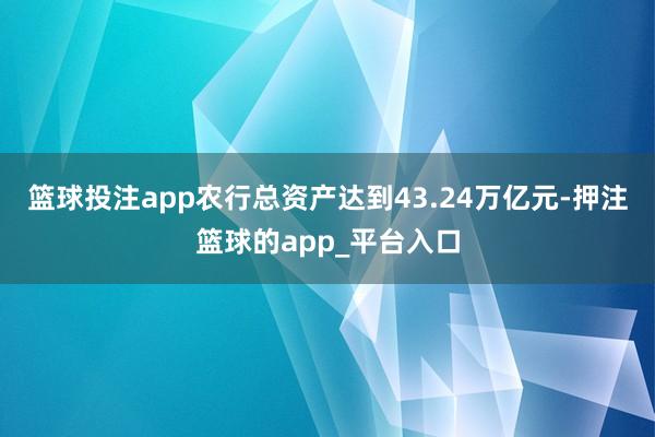 篮球投注app农行总资产达到43.24万亿元-押注篮球的app_平台入口