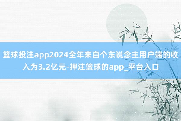 篮球投注app2024全年来自个东说念主用户端的收入为3.2亿元-押注篮球的app_平台入口