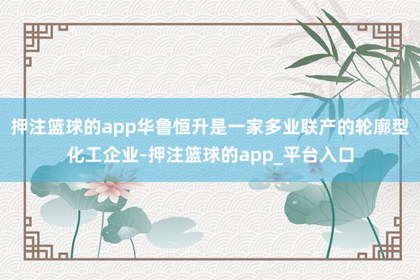 押注篮球的app华鲁恒升是一家多业联产的轮廓型化工企业-押注篮球的app_平台入口