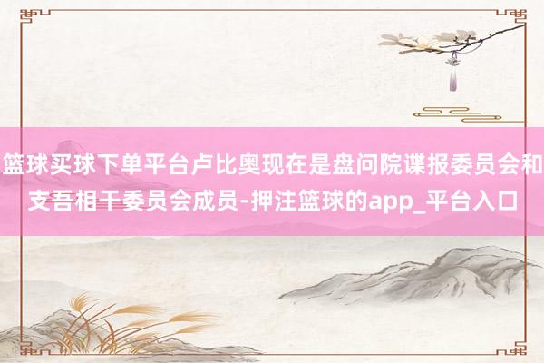 篮球买球下单平台卢比奥现在是盘问院谍报委员会和支吾相干委员会成员-押注篮球的app_平台入口