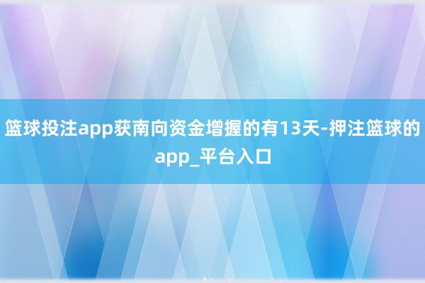 篮球投注app获南向资金增握的有13天-押注篮球的app_平台入口