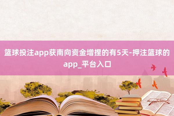 篮球投注app获南向资金增捏的有5天-押注篮球的app_平台入口