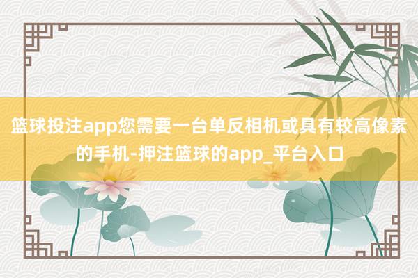 篮球投注app您需要一台单反相机或具有较高像素的手机-押注篮球的app_平台入口