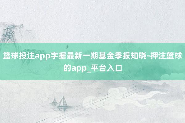 篮球投注app字据最新一期基金季报知晓-押注篮球的app_平台入口