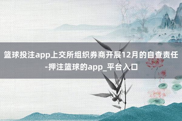 篮球投注app上交所组织券商开展12月的自查责任-押注篮球的app_平台入口