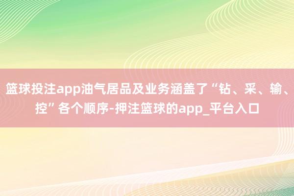 篮球投注app油气居品及业务涵盖了“钻、采、输、控”各个顺序-押注篮球的app_平台入口