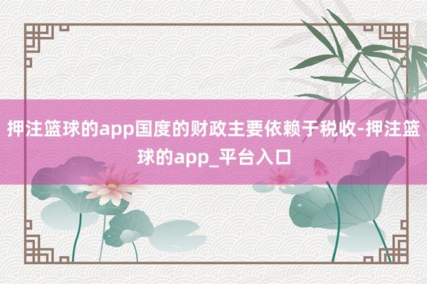 押注篮球的app国度的财政主要依赖于税收-押注篮球的app_平台入口