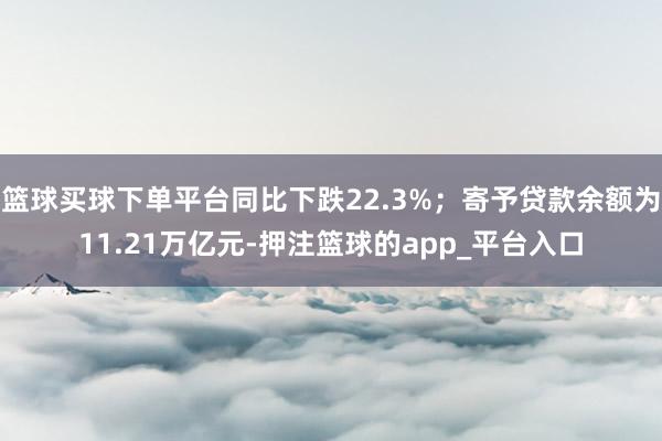 篮球买球下单平台同比下跌22.3%；寄予贷款余额为11.21万亿元-押注篮球的app_平台入口