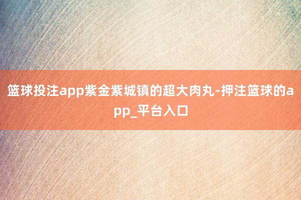 篮球投注app紫金紫城镇的超大肉丸-押注篮球的app_平台入口