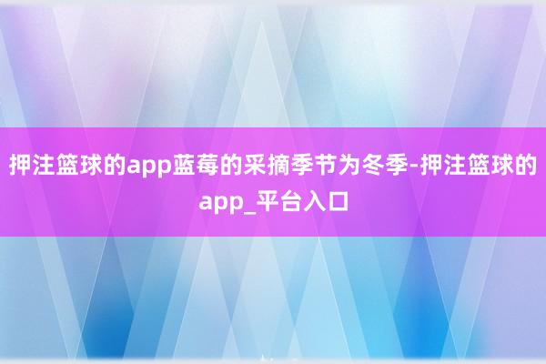 押注篮球的app蓝莓的采摘季节为冬季-押注篮球的app_平台入口