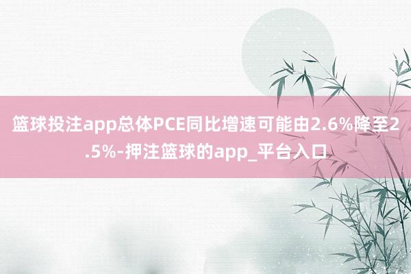 篮球投注app总体PCE同比增速可能由2.6%降至2.5%-押注篮球的app_平台入口