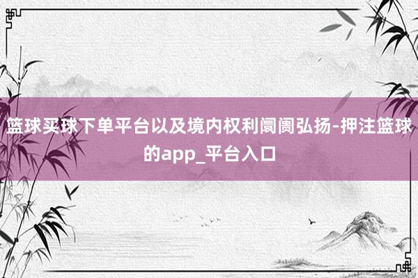 篮球买球下单平台以及境内权利阛阓弘扬-押注篮球的app_平台入口