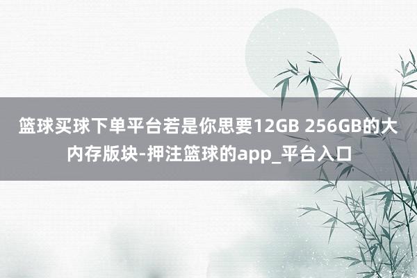 篮球买球下单平台若是你思要12GB 256GB的大内存版块-押注篮球的app_平台入口