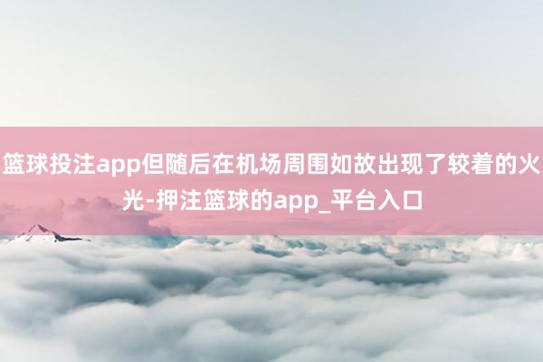 篮球投注app但随后在机场周围如故出现了较着的火光-押注篮球的app_平台入口