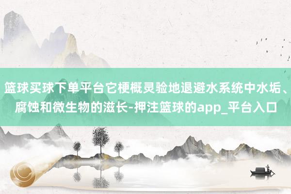 篮球买球下单平台它梗概灵验地退避水系统中水垢、腐蚀和微生物的滋长-押注篮球的app_平台入口