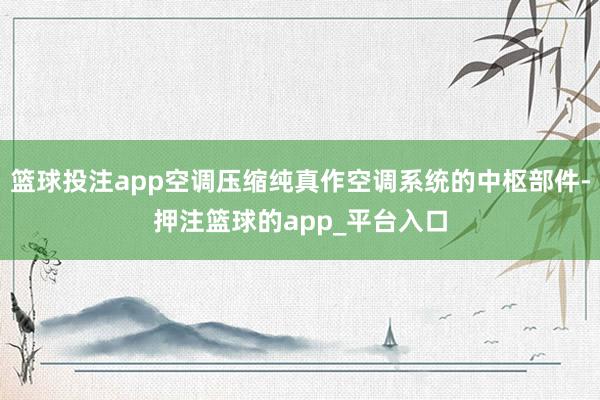 篮球投注app空调压缩纯真作空调系统的中枢部件-押注篮球的app_平台入口