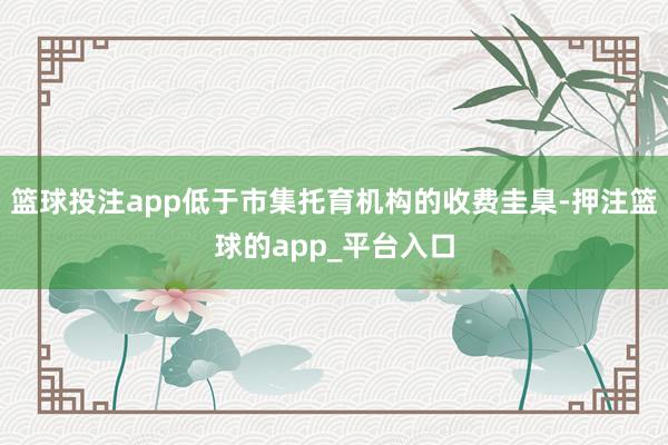 篮球投注app低于市集托育机构的收费圭臬-押注篮球的app_平台入口