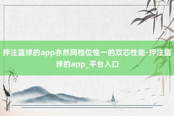 押注篮球的app亦然同档位惟一的双芯性能-押注篮球的app_平台入口