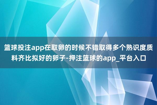 篮球投注app在取卵的时候不错取得多个熟识度质料齐比拟好的卵子-押注篮球的app_平台入口