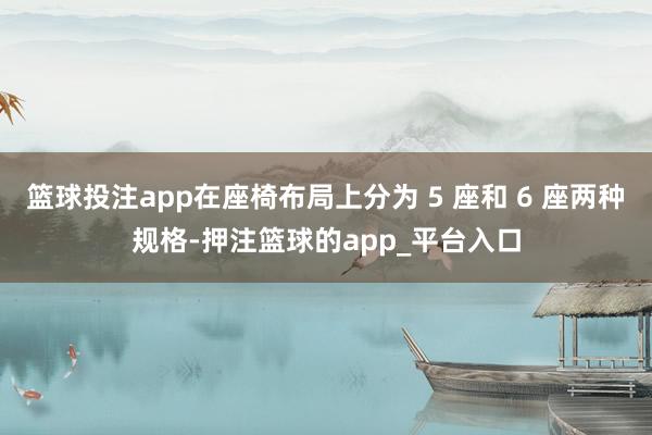 篮球投注app在座椅布局上分为 5 座和 6 座两种规格-押注篮球的app_平台入口