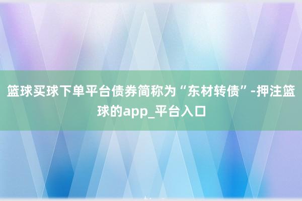 篮球买球下单平台债券简称为“东材转债”-押注篮球的app_平台入口