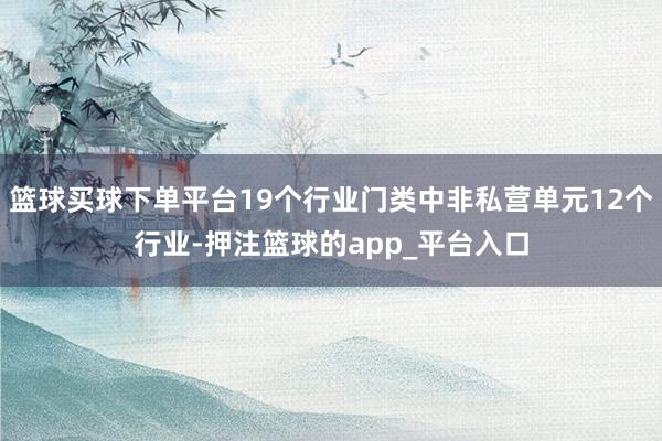 篮球买球下单平台19个行业门类中非私营单元12个行业-押注篮球的app_平台入口