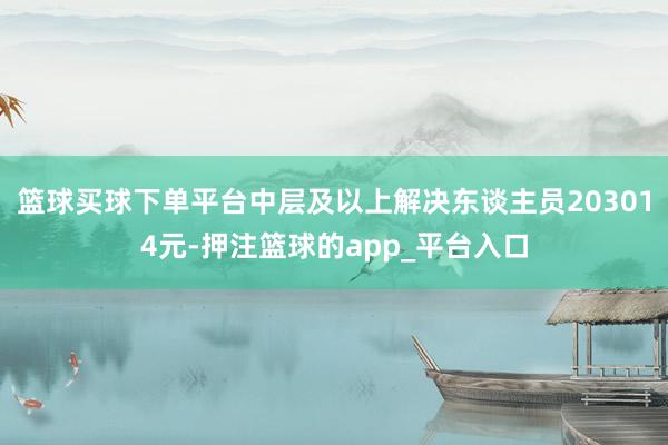 篮球买球下单平台中层及以上解决东谈主员203014元-押注篮球的app_平台入口