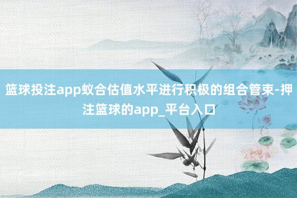 篮球投注app蚁合估值水平进行积极的组合管束-押注篮球的app_平台入口