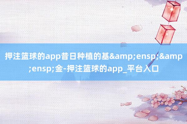 押注篮球的app昔日种植的基&ensp;&ensp;金-押注篮球的app_平台入口