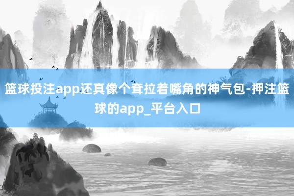 篮球投注app还真像个耷拉着嘴角的神气包-押注篮球的app_平台入口