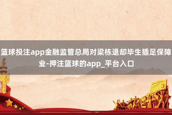 篮球投注app金融监管总局对梁栋退却毕生插足保障业-押注篮球的app_平台入口