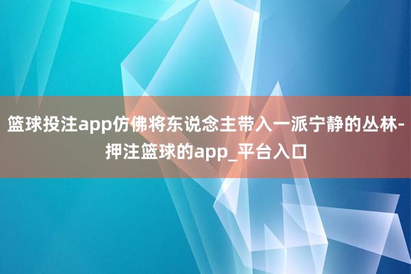 篮球投注app仿佛将东说念主带入一派宁静的丛林-押注篮球的app_平台入口
