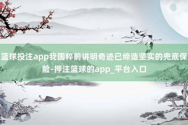 篮球投注app我国粹前讲明奇迹已缔造坚实的兜底保险-押注篮球的app_平台入口