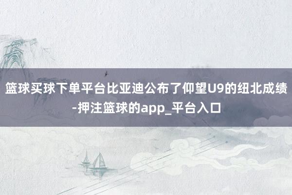 篮球买球下单平台比亚迪公布了仰望U9的纽北成绩-押注篮球的app_平台入口