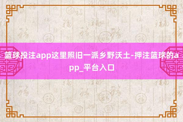 篮球投注app这里照旧一派乡野沃土-押注篮球的app_平台入口